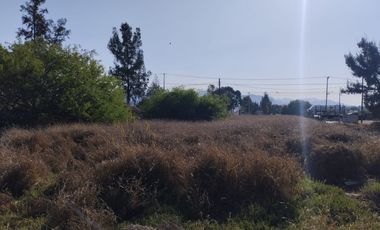 TERRENO EN VENTA ACTOPAN-JIADI