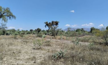 TERRENO EN VENTA EN ACTOPAN