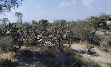 TERRENO EN VENTA EN ACTOPAN