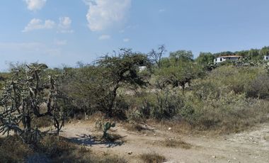 TERRENO EN VENTA EN ACTOPAN