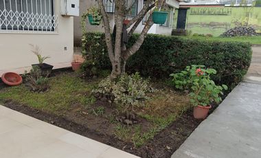 DEPARTAMENTO EN ALQUILER EN PINAR ALTO