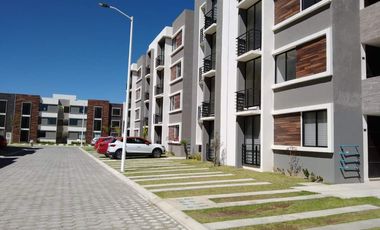 DEPARTAMENTO EN RENTA!! FRACCIONAMIENTO VERONA