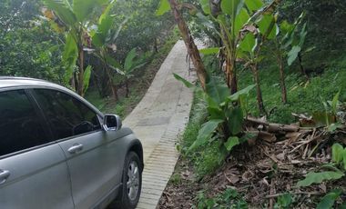 VENTA FINCA EN LA GRAN VIA