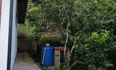 VENTA FINCA EN LA GRAN VIA
