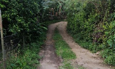 VENTA FINCA EN LA GRAN VIA