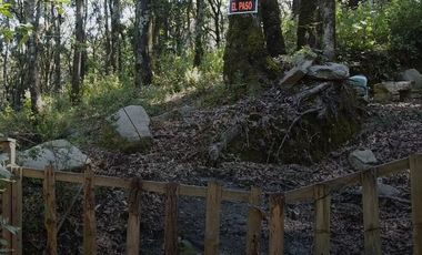 Terreno en Venta ¡Gran Oportunidad de Inversión en un Entorno Natural y Tranquilo!