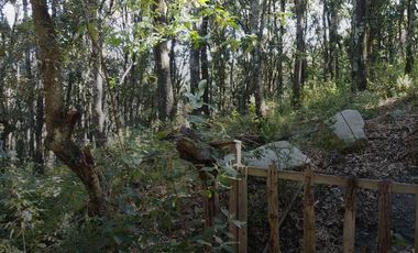 Terreno en Venta ¡Gran Oportunidad de Inversión en un Entorno Natural y Tranquilo!