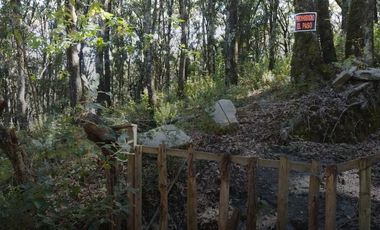 Terreno en Venta ¡Gran Oportunidad de Inversión en un Entorno Natural y Tranquilo!