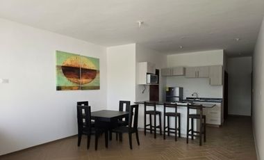 DEPARTAMENTO AMUEBLADO EN RENTA EN VIÑEDOS TORREON COAHUILA