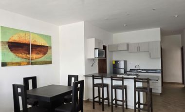 DEPARTAMENTO AMUEBLADO EN RENTA EN VIÑEDOS TORREON COAHUILA