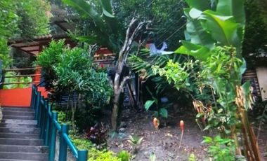 EXCELENTE FINCA VIA A LA MESA CUNDINAMARCA RENTABLE