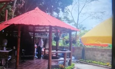 EXCELENTE FINCA VIA A LA MESA CUNDINAMARCA RENTABLE