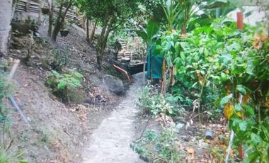 EXCELENTE FINCA VIA A LA MESA CUNDINAMARCA RENTABLE