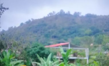 EXCELENTE FINCA VIA A LA MESA CUNDINAMARCA RENTABLE