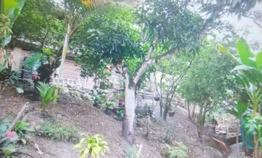 EXCELENTE FINCA VIA A LA MESA CUNDINAMARCA RENTABLE