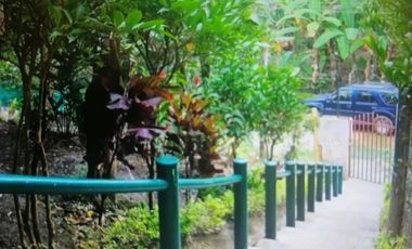 EXCELENTE FINCA VIA A LA MESA CUNDINAMARCA RENTABLE