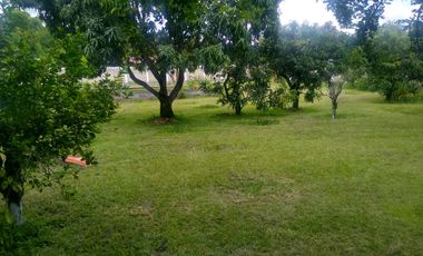 Casa en venta en Jonacatepec, Morelos. Oportunidad Única, potencial ilimitado para emprender tu negocio