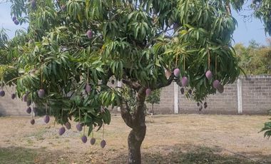 Casa en venta en Jonacatepec, Morelos. Oportunidad Única, potencial ilimitado para emprender tu negocio