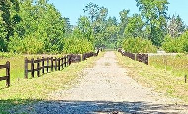 EN VENTA Hermosa parcela plana y con bosque a la vez