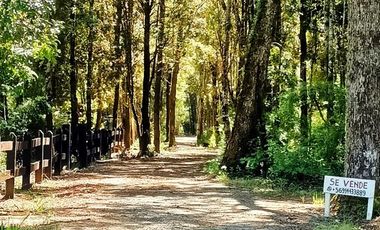 EN VENTA Hermosa parcela plana y con bosque a la vez