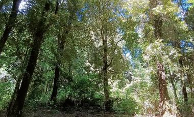 EN VENTA Hermosa parcela plana y con bosque a la vez