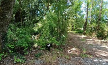 EN VENTA Hermosa parcela plana y con bosque a la vez