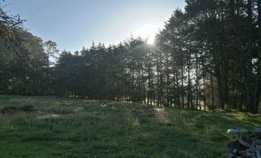 VENTA DE TERRENO BOSCOSO EN ACAXOCHITLAN CERCA DEL RÍO