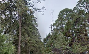 VENTA DE TERRENO BOSCOSO EN ACAXOCHITLAN CERCA DEL RÍO