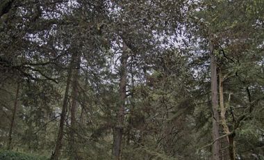VENTA DE TERRENO BOSCOSO EN ACAXOCHITLAN CERCA DEL RÍO