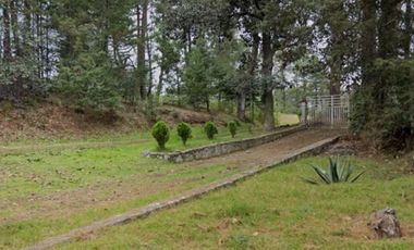 VENTA DE TERRENO BOSCOSO EN ACAXOCHITLAN CERCA DEL RÍO