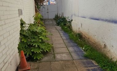 Avenida Libertad, Comercial