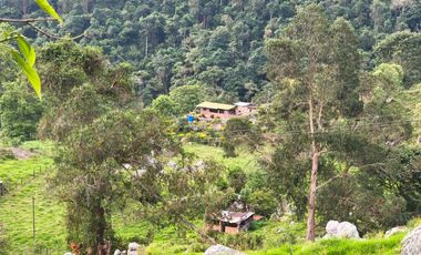 VENTA DE FINCA SAN ANTONIO DEL TEQUENDAMA