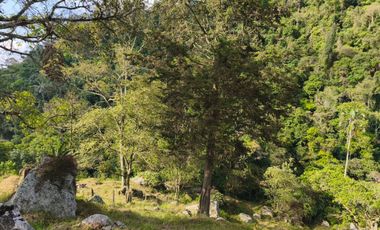 VENTA DE FINCA SAN ANTONIO DEL TEQUENDAMA