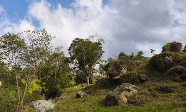 VENTA DE FINCA SAN ANTONIO DEL TEQUENDAMA