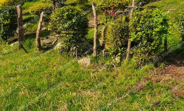 VENTA  O PERMUTA DE FINCA PARA DESARROLLO TURISTICO A AGRICOLA   SAN ANTONIO DEL TEQUENDAMA