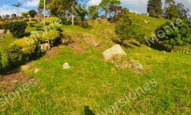 VENTA  O PERMUTA DE FINCA PARA DESARROLLO TURISTICO A AGRICOLA   SAN ANTONIO DEL TEQUENDAMA