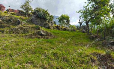 VENTA  O PERMUTA DE FINCA PARA DESARROLLO TURISTICO A AGRICOLA   SAN ANTONIO DEL TEQUENDAMA