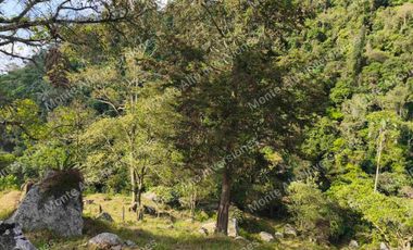 VENTA  O PERMUTA DE FINCA PARA DESARROLLO TURISTICO A AGRICOLA   SAN ANTONIO DEL TEQUENDAMA