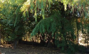 En venta casa con amplio terreno – Putaendo, San Felipe.