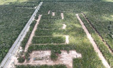 SE VENDEN LOTES DE INVERSION EN TIERRA MADRE, PLAYA DEL CARMEN, PLUSVALIA A 13 MINUTOS DE LA PLAYA
