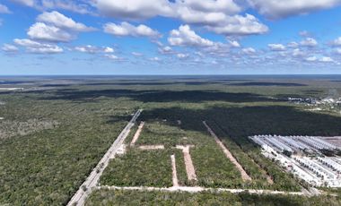 SE VENDEN LOTES DE INVERSION EN TIERRA MADRE, PLAYA DEL CARMEN, PLUSVALIA A 13 MINUTOS DE LA PLAYA