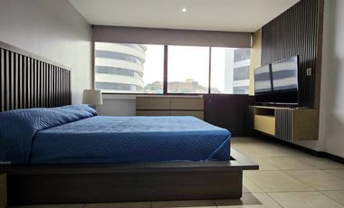 Departamento en alquiler en el puerto Santa ana Torre Bellini 1