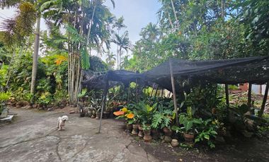 Looking for a prime lot in the heart of Davao City? This 3044 sqm property in Bajada – Downtown Proper