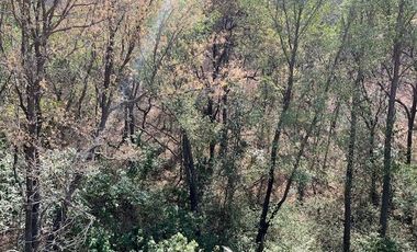 Venta de Terreno en Bosque Real
