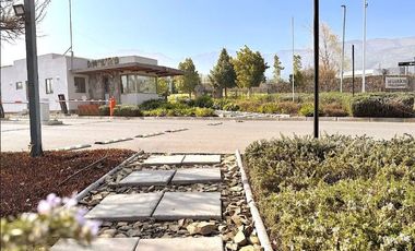 Los Ríos, Chicureo, Piedra Roja
