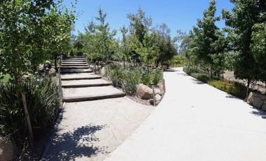 Los Ríos, Chicureo, Piedra Roja