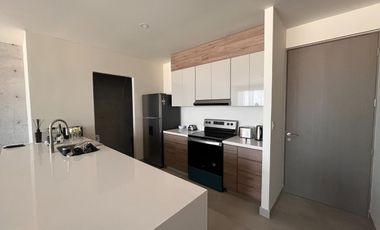 Departamento EN RENTA Zona Anahuac LA PROEZA