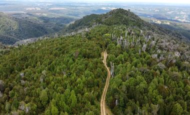 Campo en venta en Purranque de 345 hectáreas, Hueyusca, Región de Los Lagos