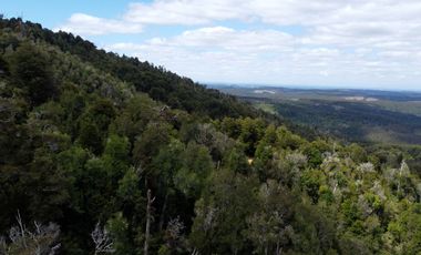 Campo en venta en Purranque de 345 hectáreas, Hueyusca, Región de Los Lagos