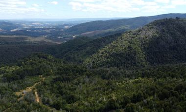 Campo en venta en Purranque de 345 hectáreas, Hueyusca, Región de Los Lagos